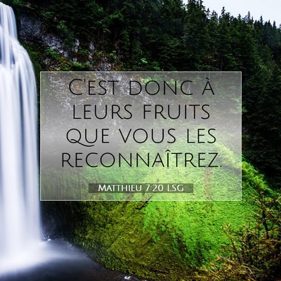 Picture 07 - Matthieu 7:20 LSG - C'est donc à leurs fruits que vous les - Bible Verse Picture