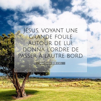 Picture 07 - Matthieu 8:18 LSG - Jésus, voyant une grande foule autour de lui, - Bible Verse Picture