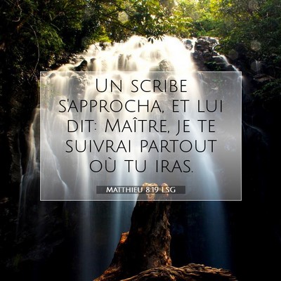 Picture 07 - Matthieu 8:19 LSG - Un scribe s'approcha, et lui dit: Maître, je te - Bible Verse Picture
