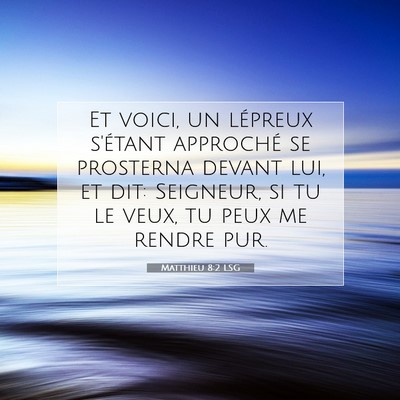 Picture 07 - Matthieu 8:2 LSG - Et voici, un lépreux s'étant approché se - Bible Verse Picture