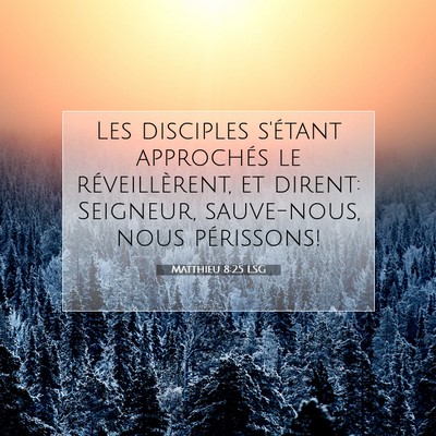 Picture 07 - Matthieu 8:25 LSG - Les disciples s'étant approchés le - Bible Verse Picture
