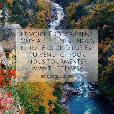 Picture 07 - Matthieu 8:29 LSG - Et voici, ils s'écrièrent: Qu'y a-t-il entre - Bible Verse Picture