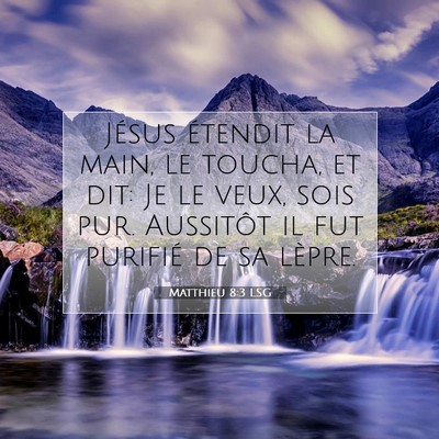 Picture 07 - Matthieu 8:3 LSG - Jésus étendit la main, le toucha, et dit: Je le - Bible Verse Picture