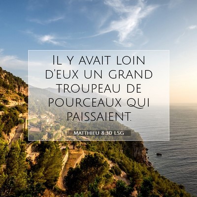 Picture 07 - Matthieu 8:30 LSG - Il y avait loin d'eux un grand troupeau de - Bible Verse Picture