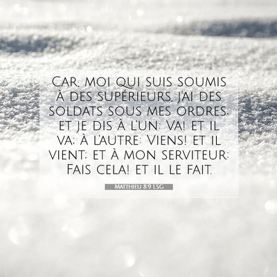 Picture 07 - Matthieu 8:9 LSG - Car, moi qui suis soumis à des supérieurs, j'ai - Bible Verse Picture