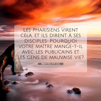 Picture 07 - Matthieu 9:11 LSG - Les pharisiens virent cela, et ils dirent à ses - Bible Verse Picture