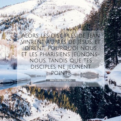 Picture 07 - Matthieu 9:14 LSG - Alors les disciples de Jean vinrent auprès de - Bible Verse Picture