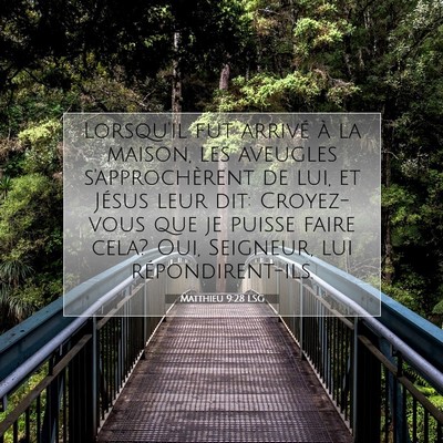 Picture 07 - Matthieu 9:28 LSG - Lorsqu'il fut arrivé à la maison, les aveugles - Bible Verse Picture