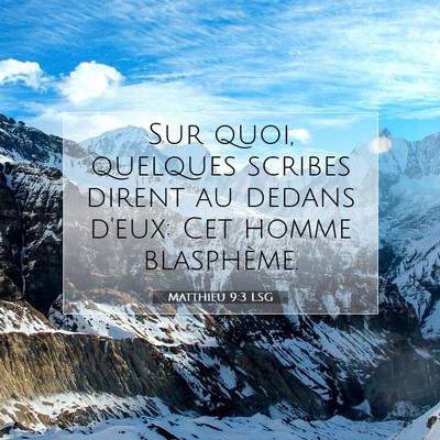 Picture 07 - Matthieu 9:3 LSG - Sur quoi, quelques scribes dirent au dedans - Bible Verse Picture
