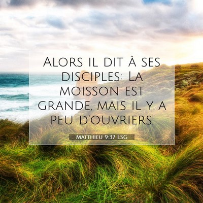 Picture 07 - Matthieu 9:37 LSG - Alors il dit à ses disciples: La moisson est - Bible Verse Picture