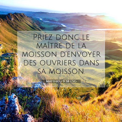 Picture 07 - Matthieu 9:38 LSG - Priez donc le maître de la moisson d'envoyer des - Bible Verse Picture