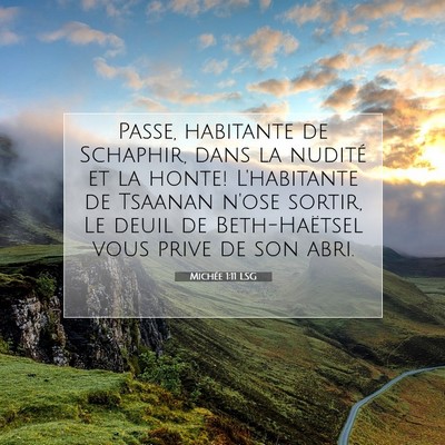 Picture 07 - Michée 1:11 LSG - Passe, habitante de Schaphir, dans la nudité et - Bible Verse Picture