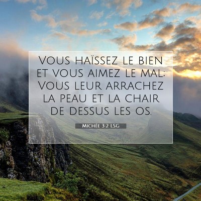 Picture 07 - Michée 3:2 LSG - Vous haïssez le bien et vous aimez le mal; Vous - Bible Verse Picture