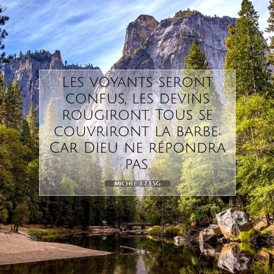 Picture 07 - Michée 3:7 LSG - Les voyants seront confus, les devins rougiront, - Bible Verse Picture