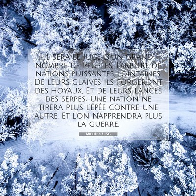 Picture 07 - Michée 4:3 LSG - Il sera le juge d'un grand nombre de peuples, - Bible Verse Picture