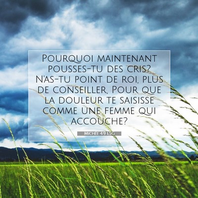 Picture 07 - Michée 4:9 LSG - Pourquoi maintenant pousses-tu des cris? N'as-tu - Bible Verse Picture