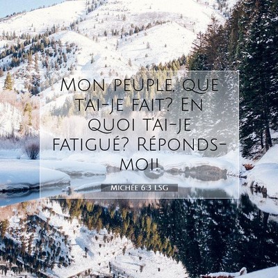 Picture 07 - Michée 6:3 LSG - Mon peuple, que t'ai-je fait? En quoi t'ai-je - Bible Verse Picture
