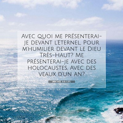 Picture 07 - Michée 6:6 LSG - Avec quoi me présenterai-je devant l'Eternel, - Bible Verse Picture