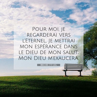 Picture 07 - Michée 7:7 LSG - Pour moi, je regarderai vers l'Eternel, Je - Bible Verse Picture