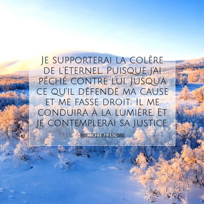 Picture 07 - Michée 7:9 LSG - Je supporterai la colère de l'Eternel, Puisque - Bible Verse Picture