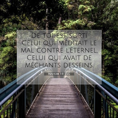 Picture 07 - Nahum 1:11 LSG - De toi est sorti Celui qui méditait le mal - Bible Verse Picture