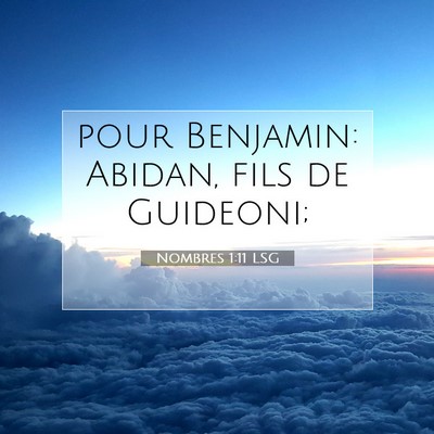 Picture 07 - Nombres 1:11 LSG - pour Benjamin: Abidan, fils de - Bible Verse Picture
