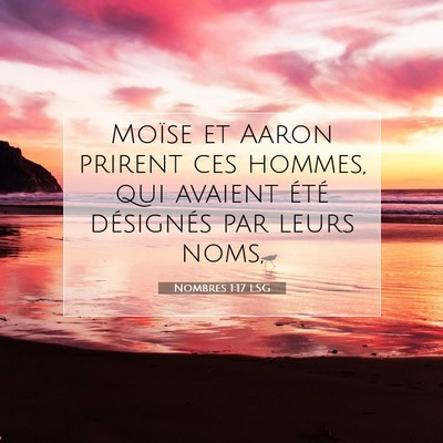 Picture 07 - Nombres 1:17 LSG - Moïse et Aaron prirent ces hommes, qui avaient - Bible Verse Picture