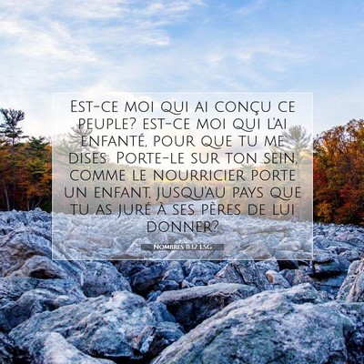 Picture 07 - Nombres 11:12 LSG - Est-ce moi qui ai conçu ce peuple? est-ce moi - Bible Verse Picture