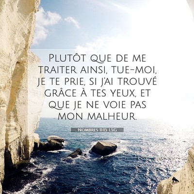 Picture 07 - Nombres 11:15 LSG - Plutôt que de me traiter ainsi, tue-moi, je te - Bible Verse Picture