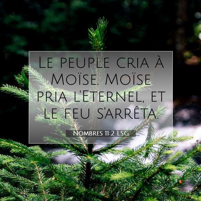 Picture 07 - Nombres 11:2 LSG - Le peuple cria à Moïse. Moïse pria l'Eternel, - Bible Verse Picture