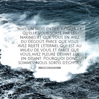 Picture 07 - Nombres 11:20 LSG - mais un mois entier, jusqu'à ce qu'elle vous - Bible Verse Picture