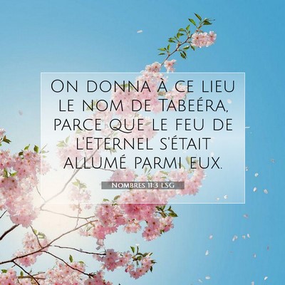 Picture 07 - Nombres 11:3 LSG - On donna à ce lieu le nom de Tabeéra, parce que - Bible Verse Picture