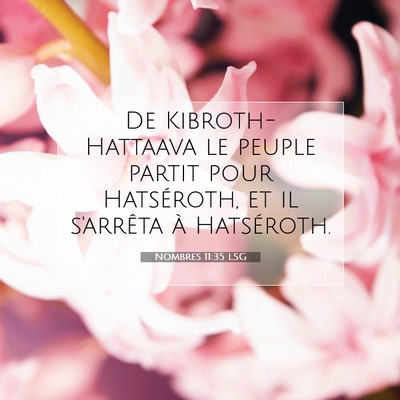 Picture 07 - Nombres 11:35 LSG - De Kibroth-Hattaava le peuple partit pour - Bible Verse Picture