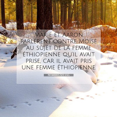 Picture 07 - Nombres 12:1 LSG - Marie et Aaron parlèrent contre Moïse au sujet - Bible Verse Picture