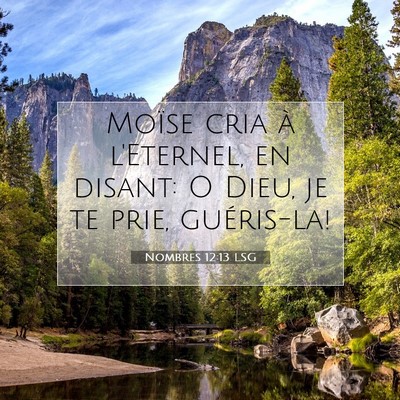 Picture 07 - Nombres 12:13 LSG - Moïse cria à l'Eternel, en disant: O Dieu, je - Bible Verse Picture