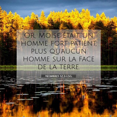 Picture 07 - Nombres 12:3 LSG - Or, Moïse était un homme fort patient, plus - Bible Verse Picture