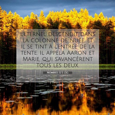 Picture 07 - Nombres 12:5 LSG - L'Eternel descendit dans la colonne de nuée, et - Bible Verse Picture
