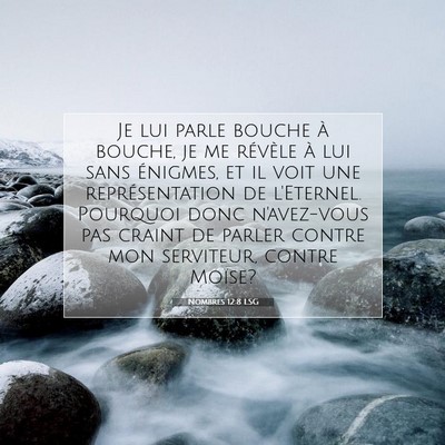 Picture 07 - Nombres 12:8 LSG - Je lui parle bouche à bouche, je me révèle à - Bible Verse Picture