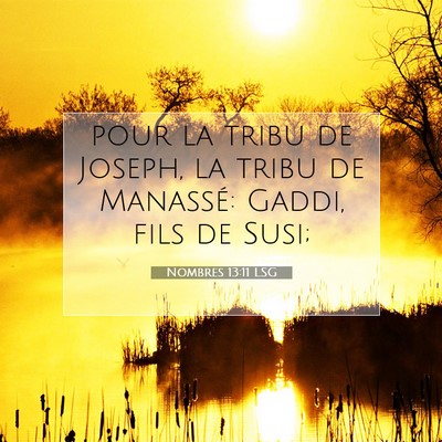 Picture 07 - Nombres 13:11 LSG - pour la tribu de Joseph, la tribu de Manassé: - Bible Verse Picture