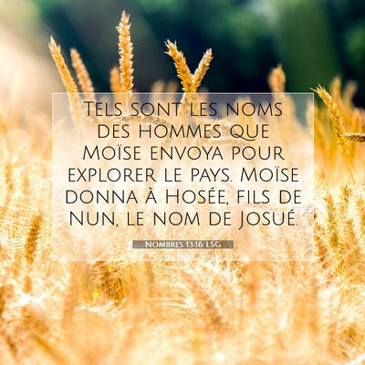 Picture 07 - Nombres 13:16 LSG - Tels sont les noms des hommes que Moïse envoya - Bible Verse Picture