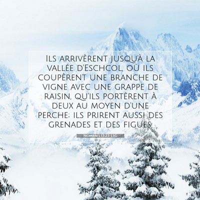 Picture 07 - Nombres 13:23 LSG - Ils arrivèrent jusqu'à la vallée d'Eschcol, - Bible Verse Picture