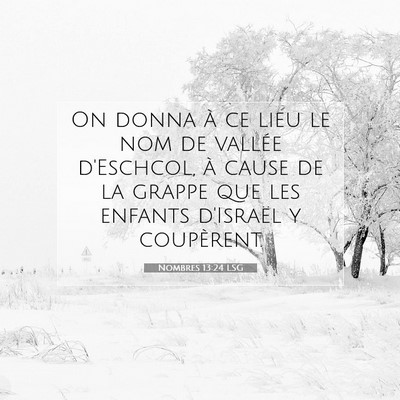 Picture 07 - Nombres 13:24 LSG - On donna à ce lieu le nom de vallée d'Eschcol, - Bible Verse Picture