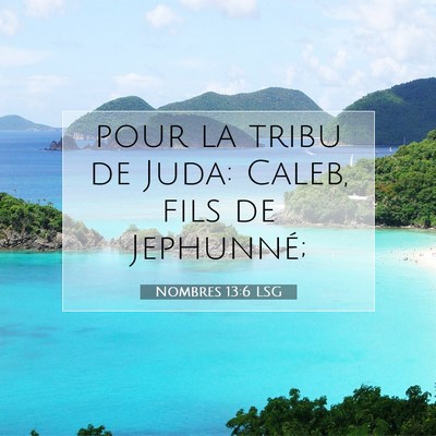 Picture 07 - Nombres 13:6 LSG - pour la tribu de Juda: Caleb, fils de - Bible Verse Picture