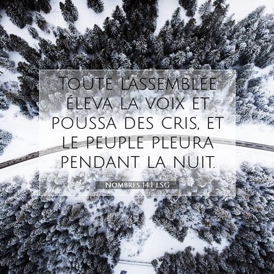 Picture 07 - Nombres 14:1 LSG - Toute l'assemblée éleva la voix et poussa des - Bible Verse Picture