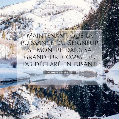 Picture 07 - Nombres 14:17 LSG - Maintenant, que la puissance du Seigneur se - Bible Verse Picture