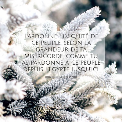 Picture 07 - Nombres 14:19 LSG - Pardonne l'iniquité de ce peuple, selon la - Bible Verse Picture