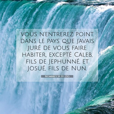 Picture 07 - Nombres 14:30 LSG - vous n'entrerez point dans le pays que j'avais - Bible Verse Picture