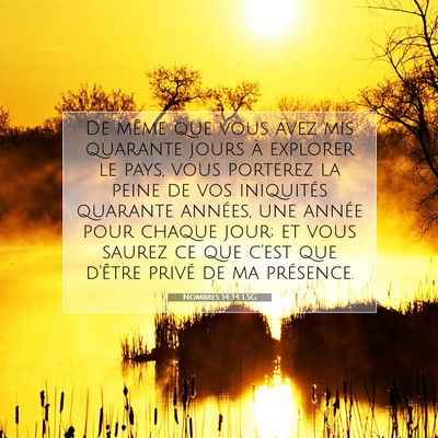 Picture 07 - Nombres 14:34 LSG - De même que vous avez mis quarante jours à - Bible Verse Picture