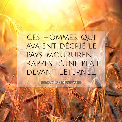 Picture 07 - Nombres 14:37 LSG - ces hommes, qui avaient décrié le pays, - Bible Verse Picture