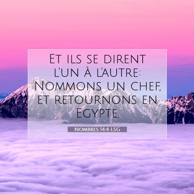 Picture 07 - Nombres 14:4 LSG - Et ils se dirent l'un à l'autre: Nommons un - Bible Verse Picture